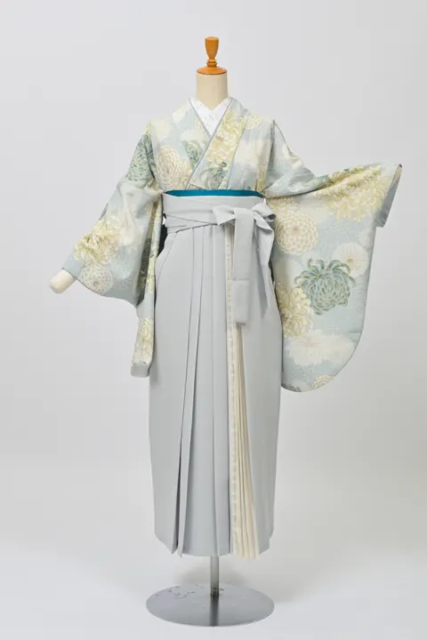 乱菊・菊水水色