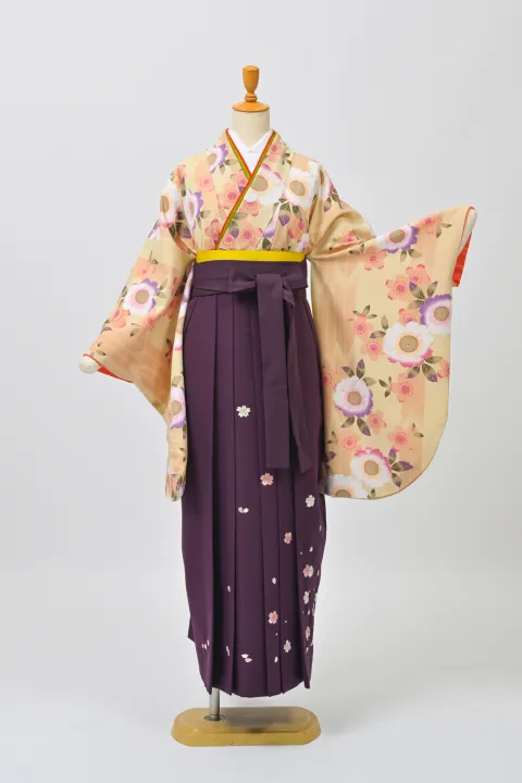 クリーム・矢絣×桜